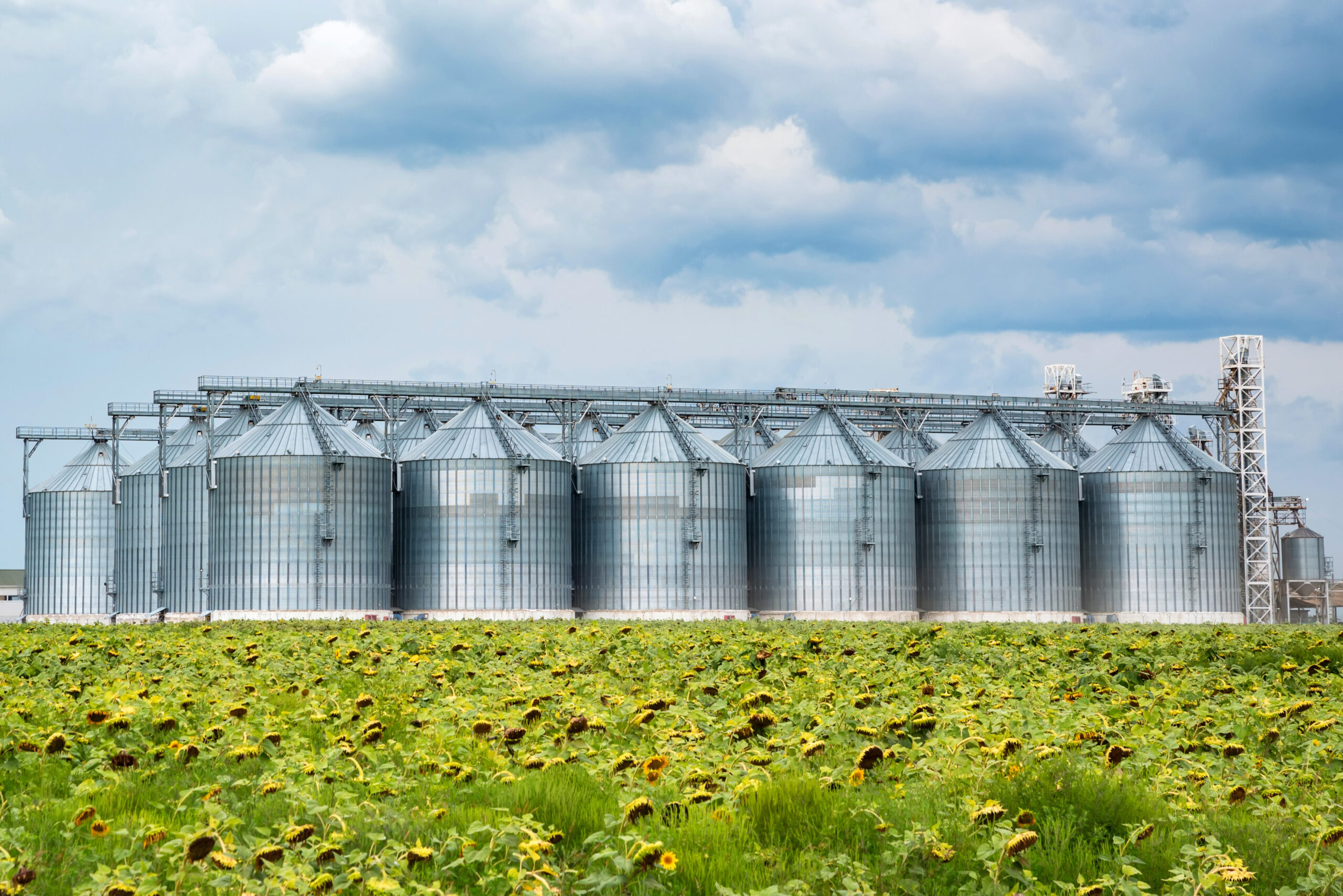 Distant view of sunflower oil refinery in a field
